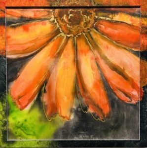 Internal Sunshine/ Calendula (Everlasting Series)