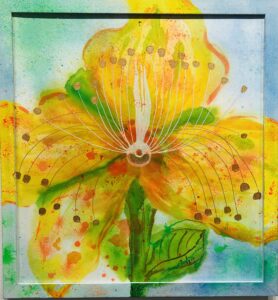 Go Beyond the Veil / St.John Wort (Everlasting Series)