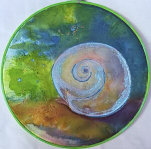 Seashell